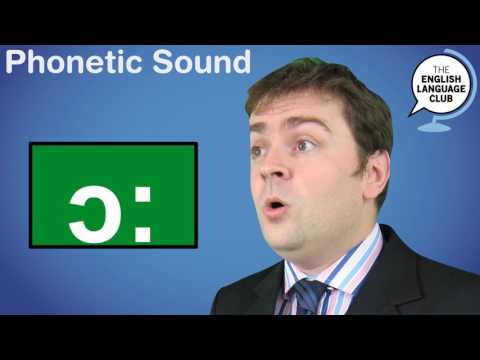 [Wikipedia] Open-mid back rounded… - Partner