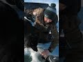 Video Thumbnail for Goldeye’s Are Beautiful Fish