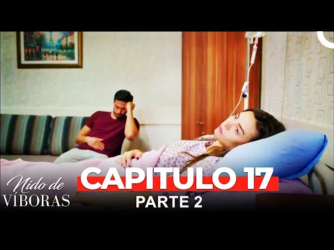 Nido De Víboras Todos Los Capítulos 17 Parte 2
