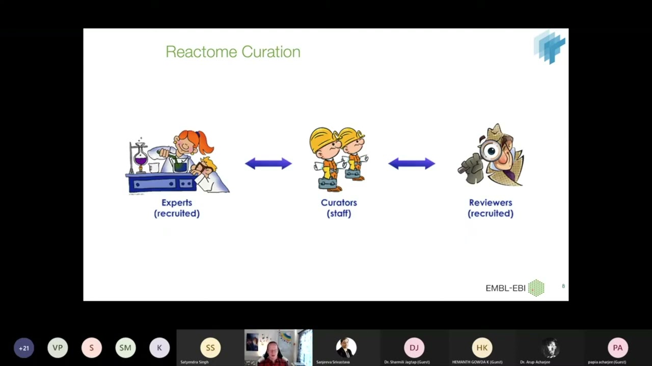 Pathway Analysis Reactome