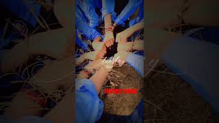 college friends rakhi ## 👌❤❤👌