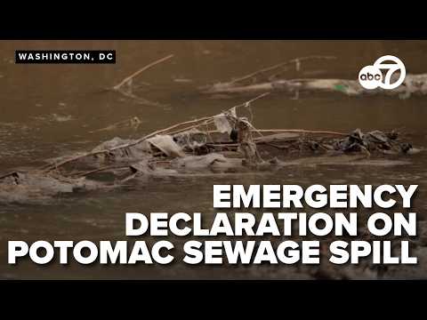 DC mayor calls for federal help in Potomac River sewage spill emergency