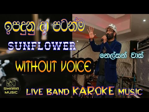 ipaduna da patanma nelson vaas | without voice | karaoke | lyrics | #swaramusickaroke