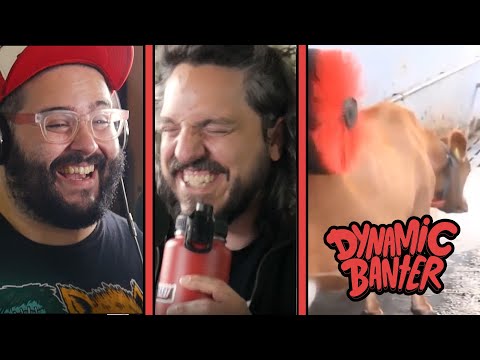 Dynamic Banter 255 - Buttercream Farms
