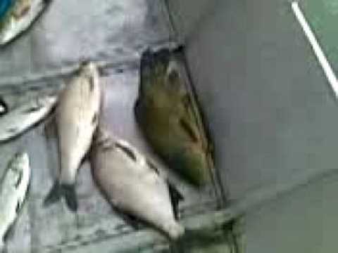 BATTISTA E LUCA IN ADDA 2