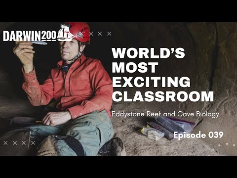 World's Most Exciting Classroom Episode 39: Eddystone Reef and Cave Biology