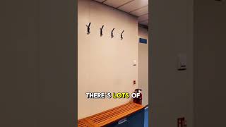 Where Antarctica Adventures Actually Begin #shorts #expeditioncruise #antarctica