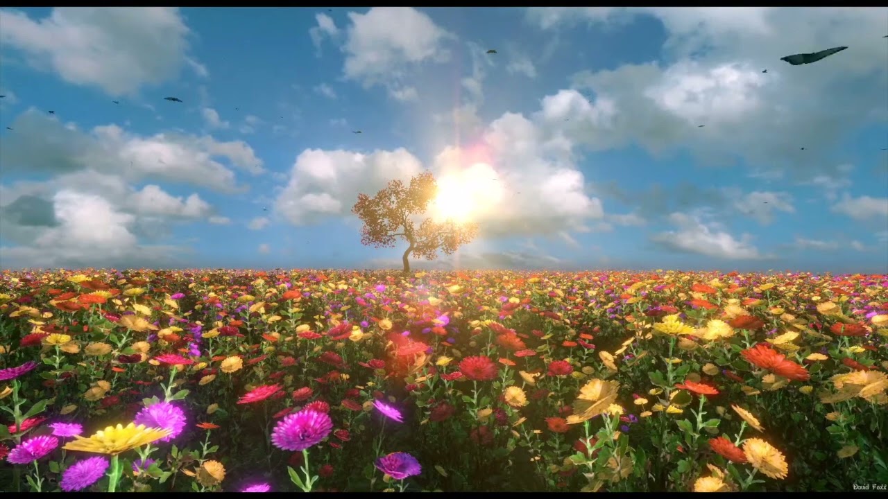 Arthur Schopenhauer - L'arte di essere felici