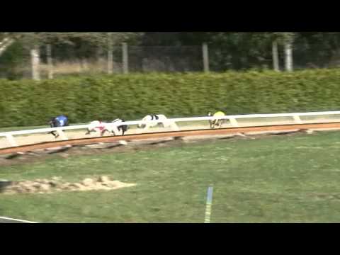 April Open 2012 Rábapatona