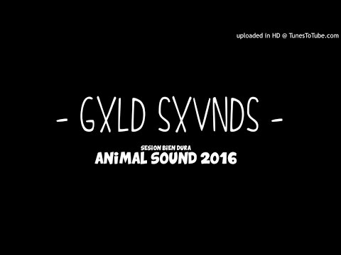 GOLD SOUNDS - SESION BIEN DURA (Animal Sound 2016)