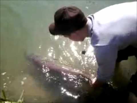 Hecht-Release (121cm)