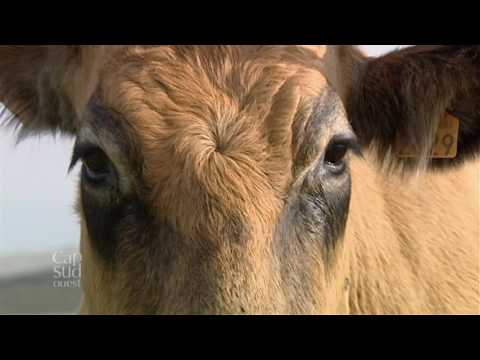 Cap Sud Ouest Aubrac, une terre de rencontres