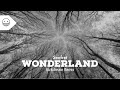 Seafret - WONDERLAND (Sickdream Remix)