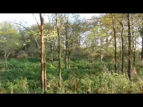 slawischer Burgwall Wust II