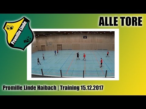 Promille Linde Haibach | Training 15.12.2017 | ALLE TORE