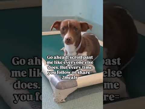 please donate $400 for meals please help link in bio #LosAngeles#Chicago#Texas#Florida#california