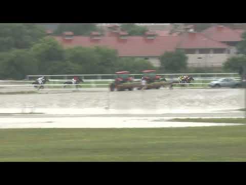 2020.06.14. 02. futam - NYERETLENEK VERSENYE (V.kat.) (szintetikus pálya)