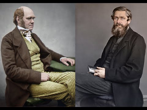 Alfred Russel Wallace, Charles Darwin, and the Discovery of Evolution by Natural Selection.