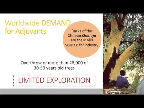 Arborea Biotech Pitch   100 Open Startups 2017