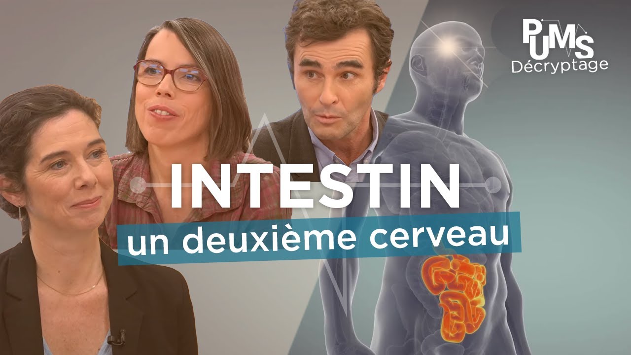 Soigner son intestin et son microbiote pour une meilleure santé ? L’importance du dépistage.