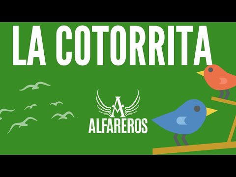 La Cotorrita video