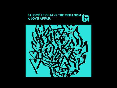 Salomé Le Chat & The Mekanism - Hot Mess