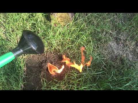 Calcium Carbide - Smoking out moles - FIRE IN THE HOLE!
