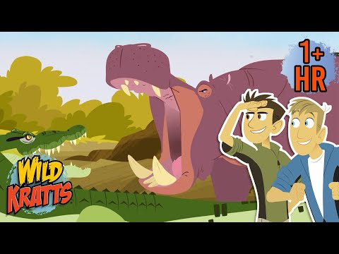 Amazing Hippo Adventures | World Hippo Day (Feb 15) | Wild Kratts
