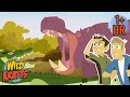 Amazing Hippo Adventures World Hippo Day Feb 15 Wild Kratts