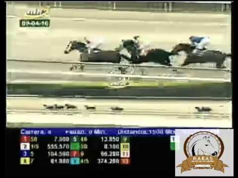 LA RINCONADA 4 CARRERA, SABADO 09 DE ABRIL DEL 2016