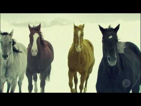 Série JR: entenda quais são e o que significam os quatro cavaleiros do Apocalipse