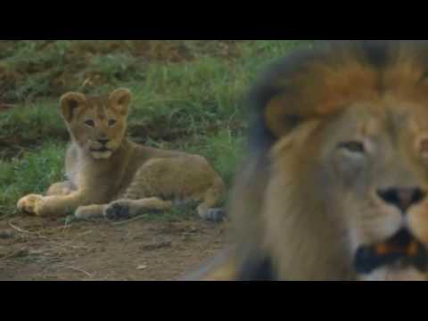 KRAMZ - STILL SEARCHING