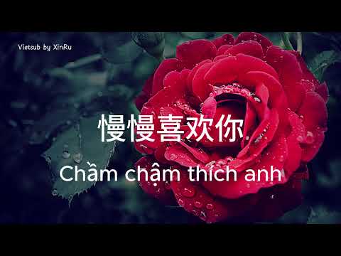[Vietsub+Pinyin] Chầm chậm thích anh《慢慢喜欢你》 - Mạc Văn Úy 莫文蔚 Karen Mok