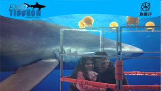 DIA 2 Expo Tiburon62