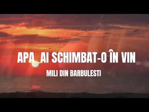 @MILIDINBARBULESTI -APA AI SCHIMBAT-O IN VIN (Video Official )