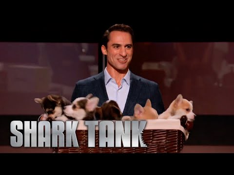 Gallant Shark Tank Pitch