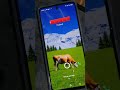 Tecno POVA5 Incoming Call Ringtone With Vibration Sound Tecno Povaseries Pova5 Ringtone Phone
