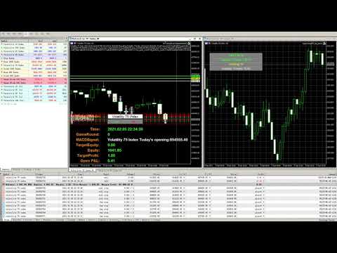 Video DYJ GlobalForexTradeWarMACDMT5