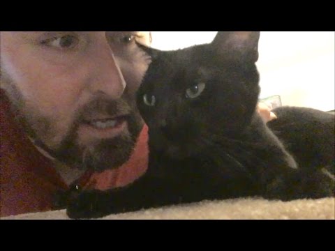 TDW 1583 - The Cat Named Darth Vader