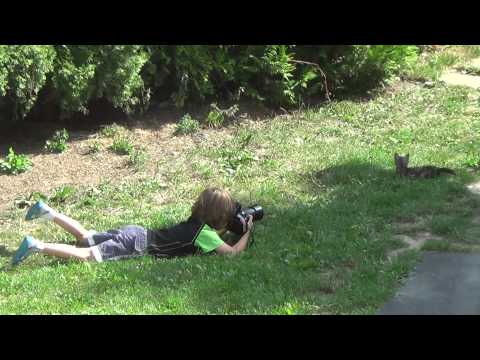 Grześ Stachera fotografuję Kotka "PEREŁKĘ"