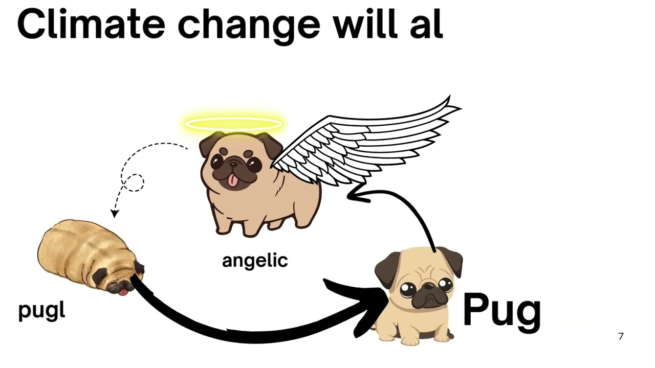 Effects of climate change on the economy by Dave I. and Jack T. (Mountsfield Public School Grade 5)