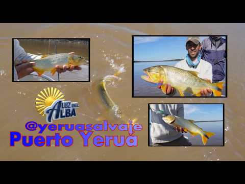 PUERTO YERUÁ ENTRE RÍOS, UNA DE LAS MEJORES OPCIONES SOBRE EL RÍO URUGUAY!!