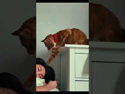 Return Your Annoying Alarm Clock