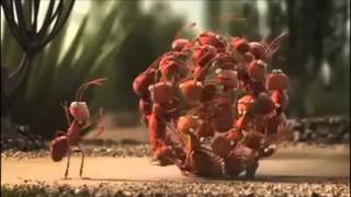 Un cuor solo e un&#39;anima sola