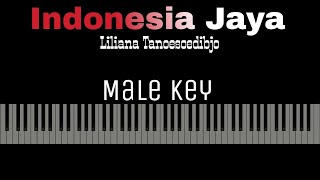 Download lagu Indonesia Jaya - Harvey Malaiholo [Karaoke Piano - Male Key] mp3