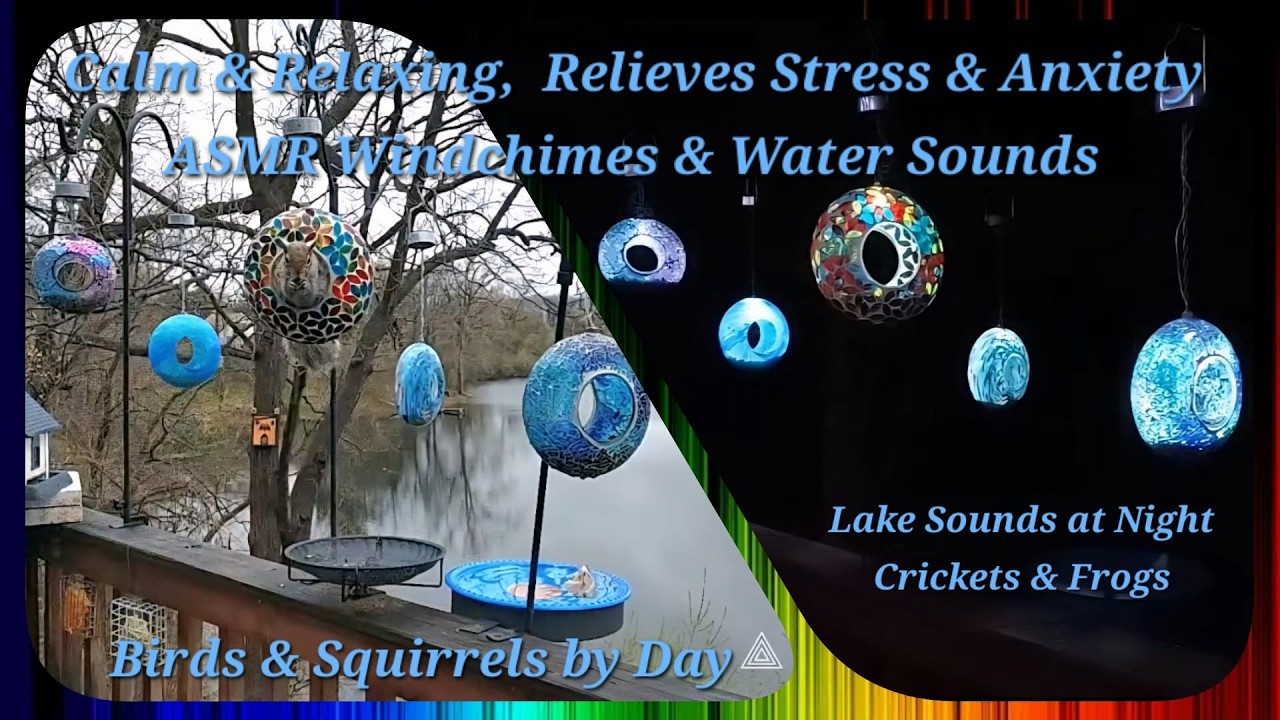 042526 LIVE CATTV MICHIGAN BIRDS SQUIRRELS WATER SOUNDS & WINDCHIMES RELAXING   CALM, PEACEFUL #ASMR