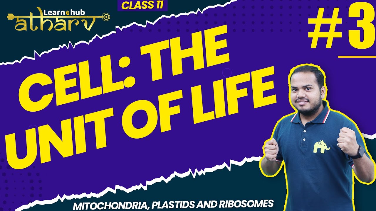 Cell The Unit of Life Class 11 Biology NCERT Chapter 8 #3| Mitochondria, Plastids, Ribosomes| Atharv