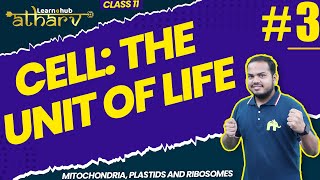 Cell The Unit of Life Class 11 Biology NCERT Chapter 8 #3| Mitochondria, Plastids, Ribosomes| Atharv
