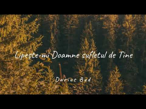 Darius Bud - Lipeste-mi Doamne sufletul de Tine