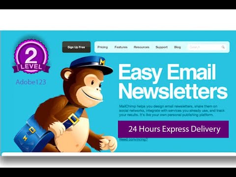 I will setup your mailchimp email template or newsletters